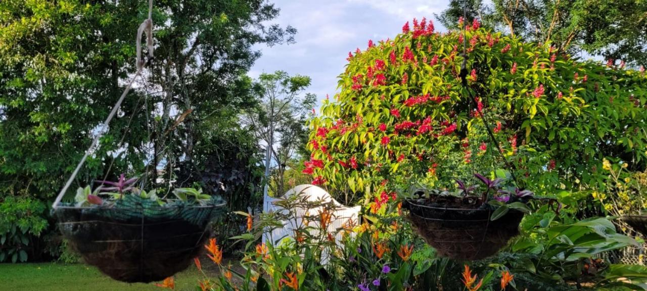 Hospedaje Finca Agroturistica Dona Rufa Rio Sereno Exterior foto