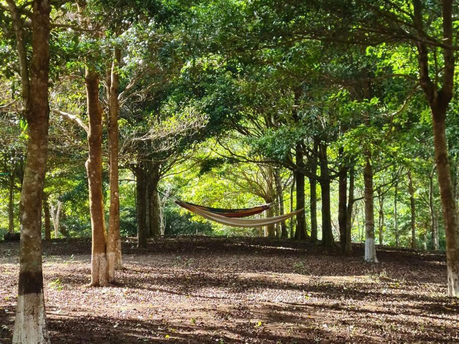Hospedaje Finca Agroturistica Dona Rufa Rio Sereno Exterior foto