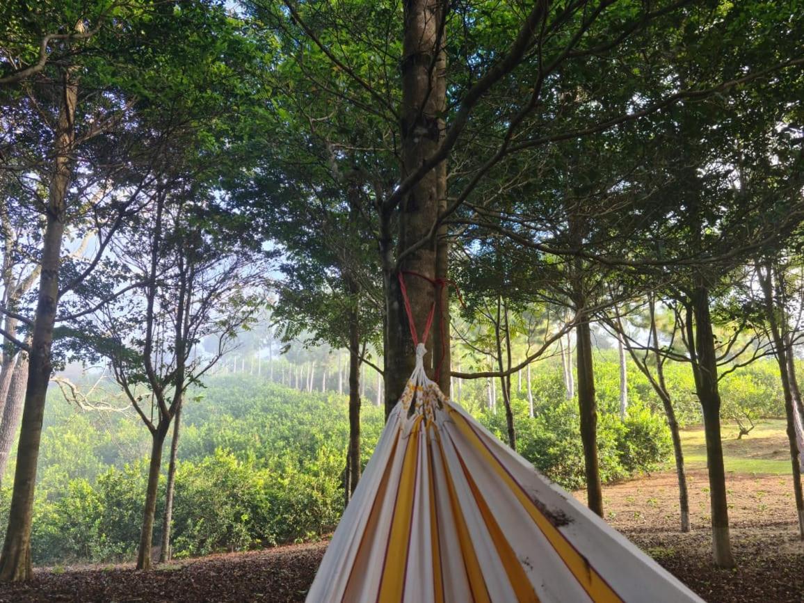 Hospedaje Finca Agroturistica Dona Rufa Rio Sereno Exterior foto
