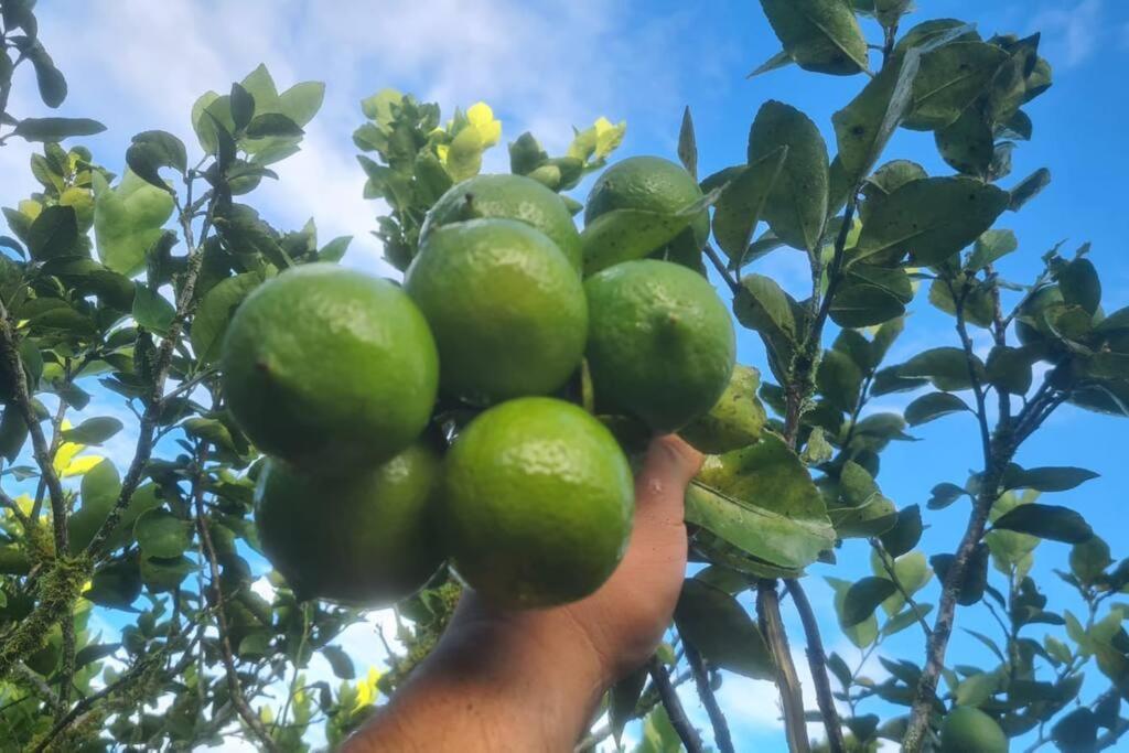 Hospedaje Finca Agroturistica Dona Rufa Rio Sereno Exterior foto