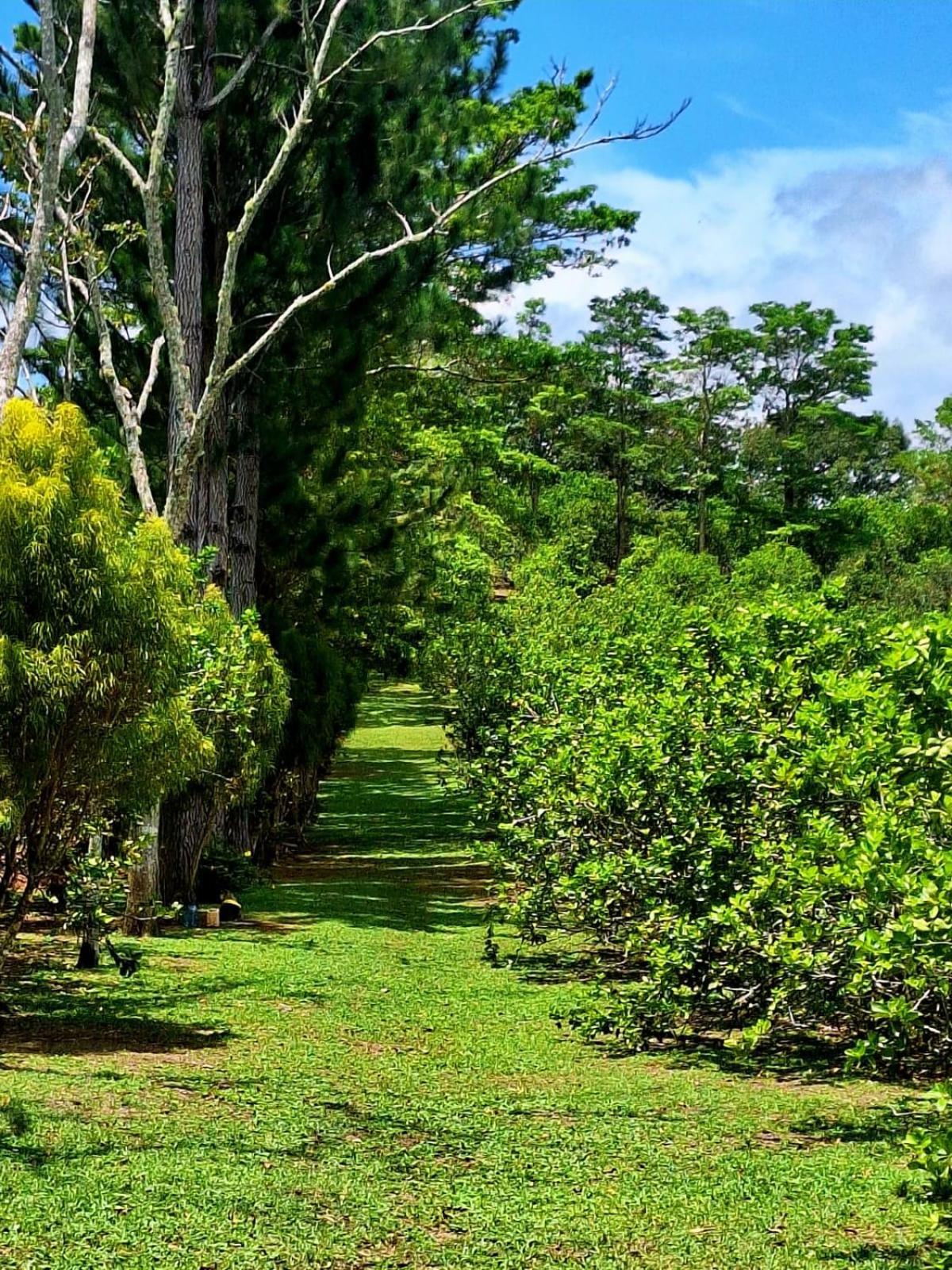 Hospedaje Finca Agroturistica Dona Rufa Rio Sereno Zimmer foto